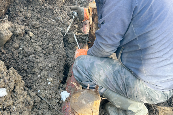 昇給・賞与あり